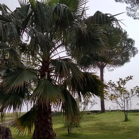 Apartamento Palmyra Beachfront